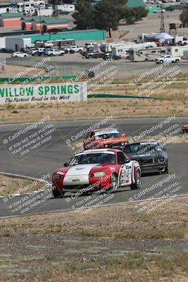 media/May-03-2025-Lucky Dog Racing (Sat) [[206de64b9d]]/Turn 4 A (3pm-4pm)/